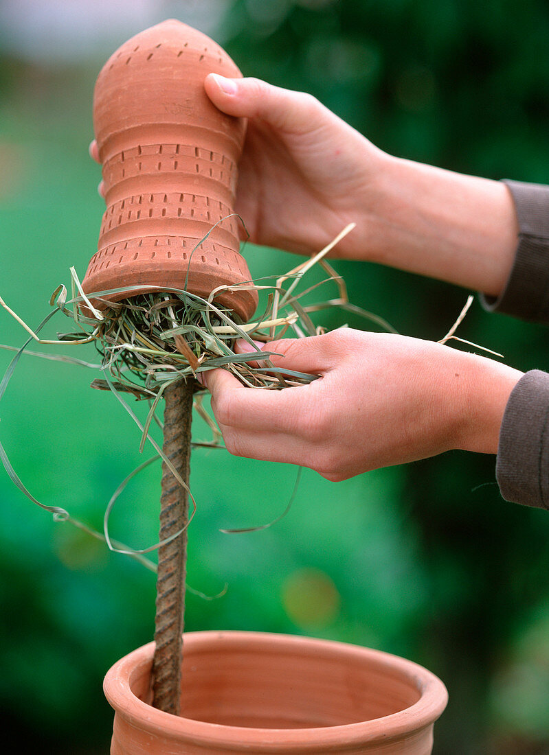 Plant the herb tower