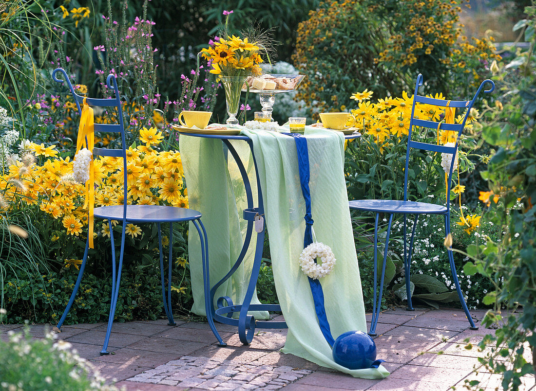 Summer seating area; Rudbeckia hirta 'Praire Sun'