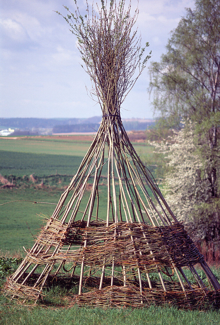Tipi tent made of willow rods