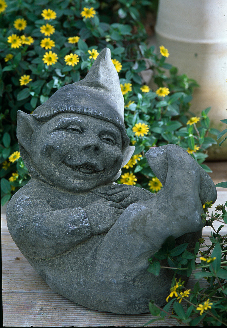 Laughing garden gnome made of cement
