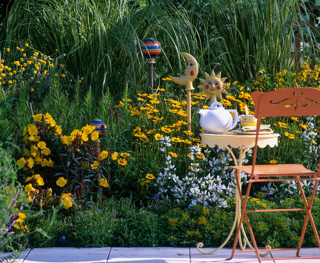 Herbaceous border: Coreopsis grandfl., Campanula glomerat 'Alba'.