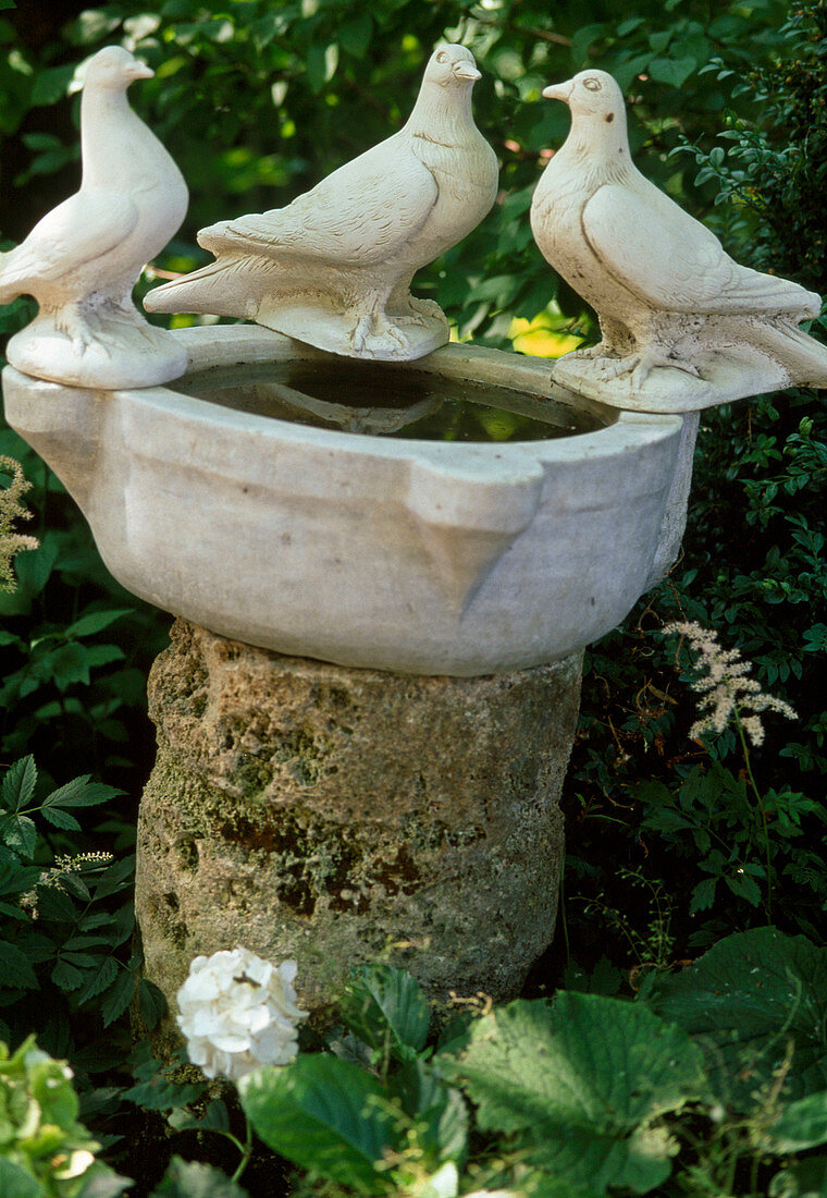 Birdbath with dove