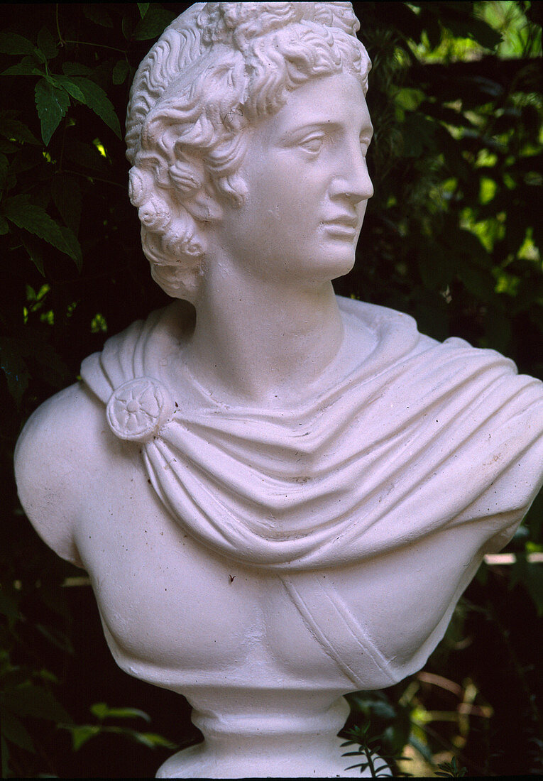 Roman bust