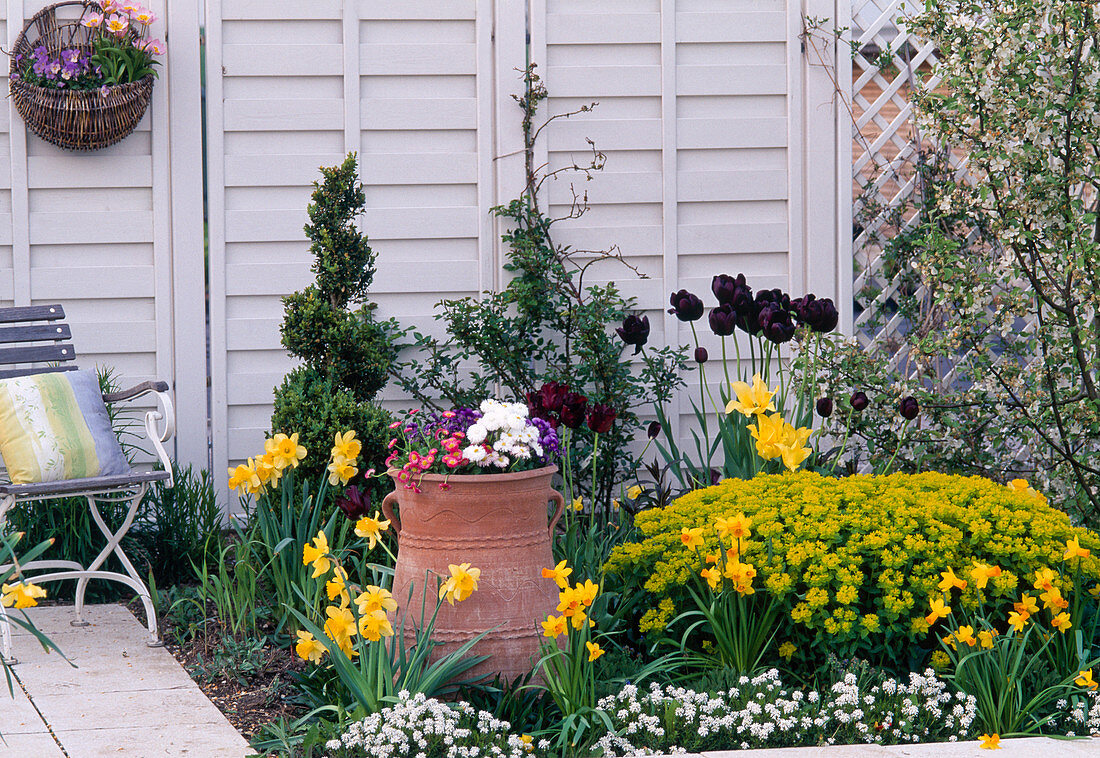 Perennial flowerbed in the 3rd year