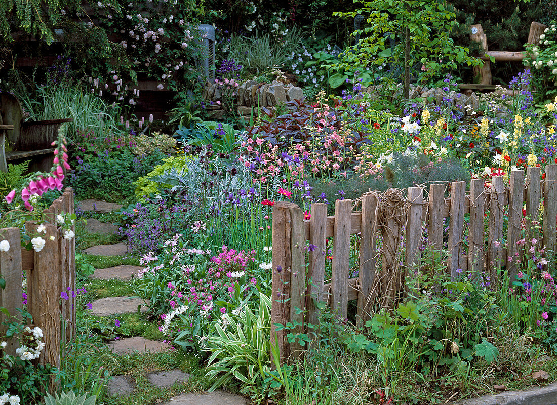 Footstep, Monarda, Aquilegia, Iris, Digitalis