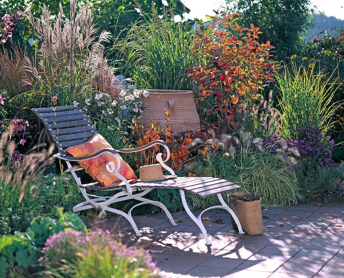 Miscanthus sinensis, Pennisetum alopecuroides,