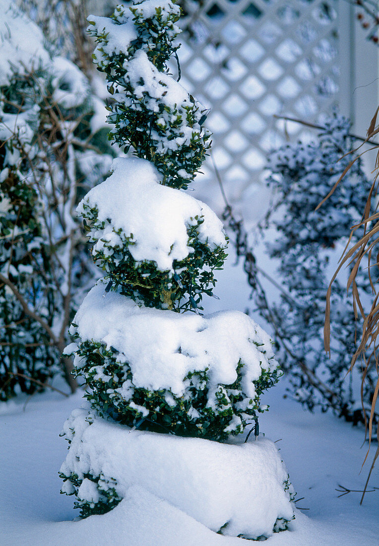 Book spiral in the snow