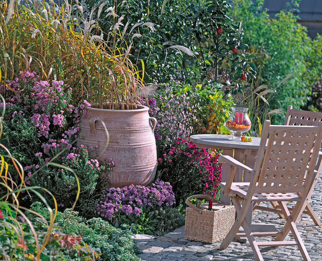 Sitzplatz am Herbstbeet: Miscanthus (Chinaschilf), Aster