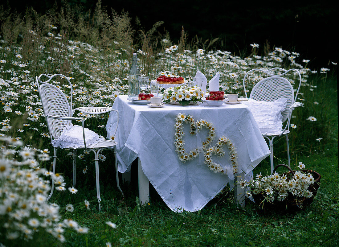 Laid table with Leucanthemum daisy, Alchemilla lady's mantle