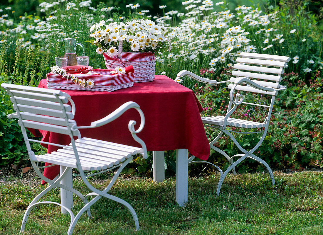 Sitzplatz am Staudenbeet: Geranium (Storchenschnabel)