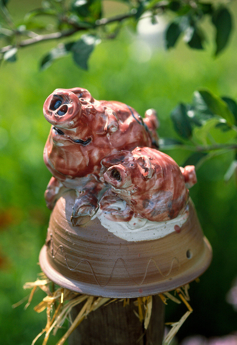 Ceramic pigs with straw as earwig houses