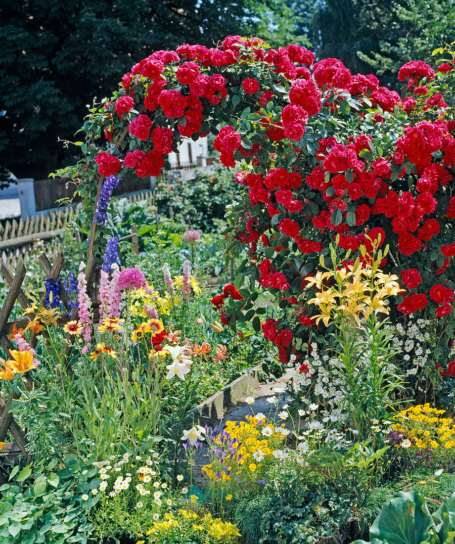 Rose arch