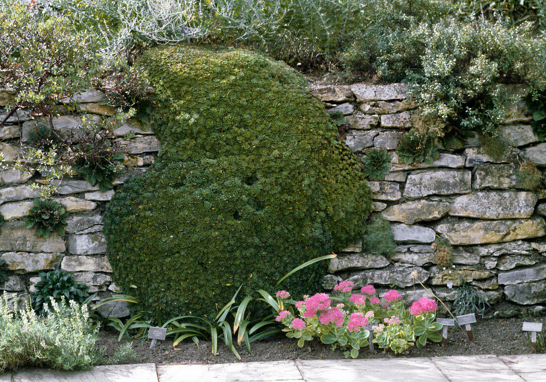 Trockenmauer aus Kalkstein