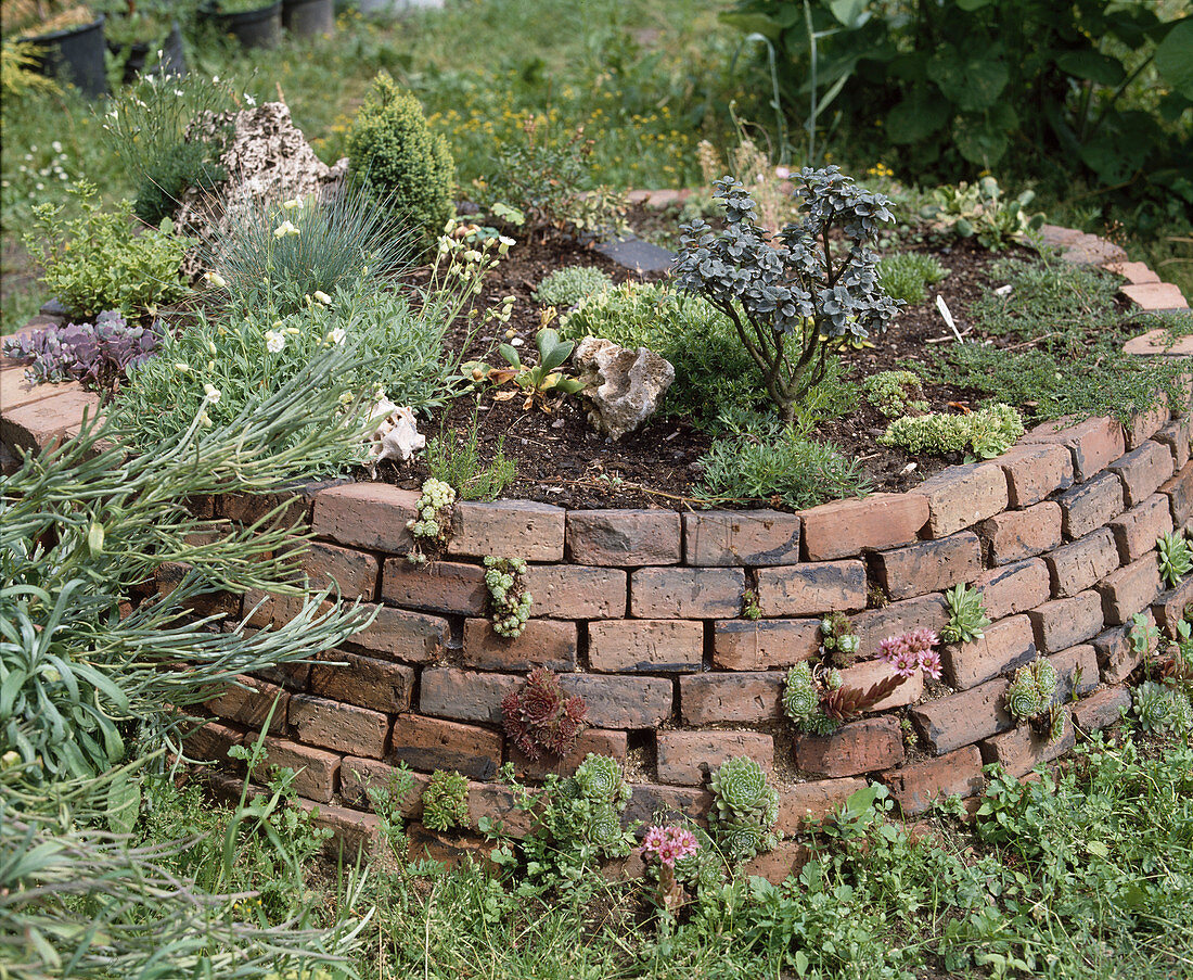 Little wall from dutch clinker bricks without mortar