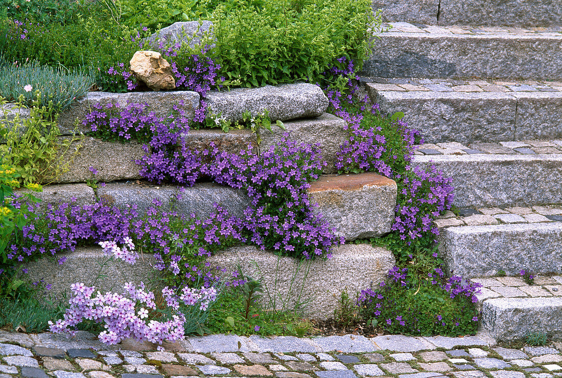 Step stone wall with perennials