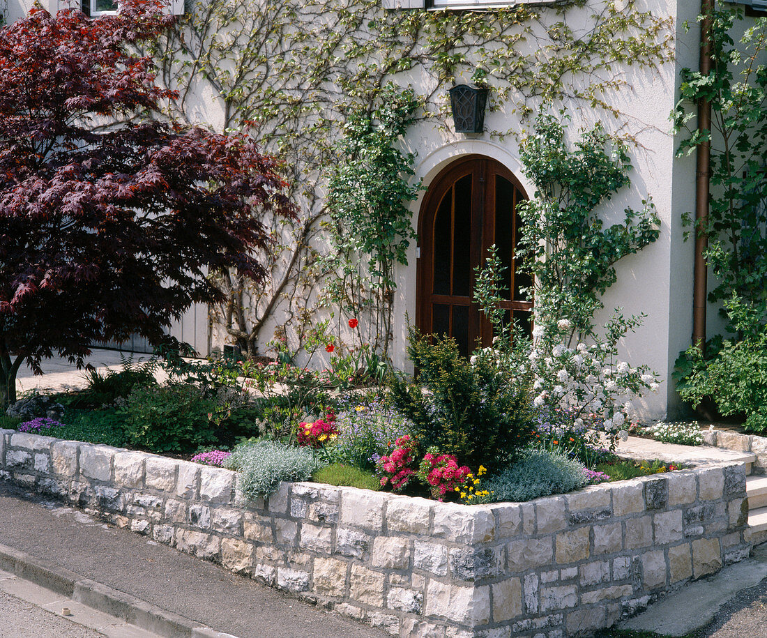 Open front garden design