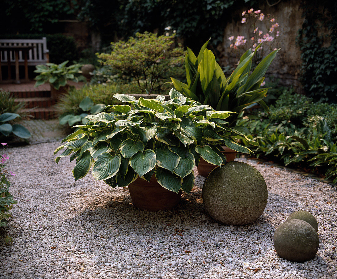 Bash feather backyard, towel garden, backyard with hosta