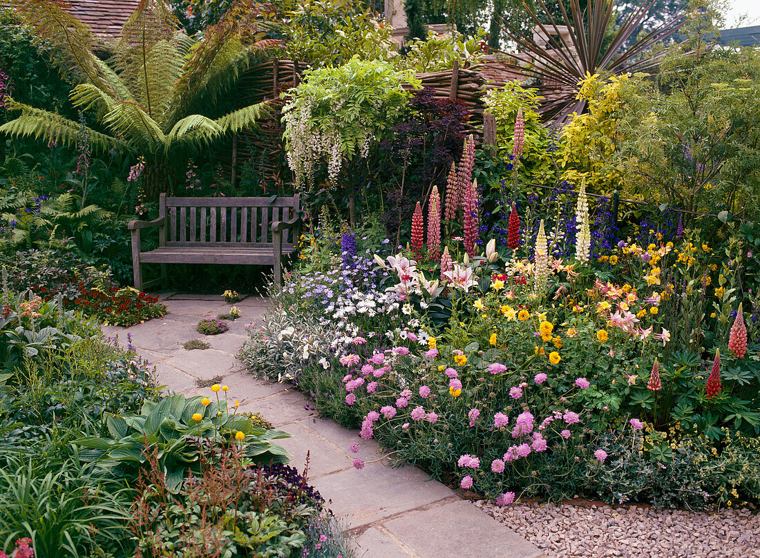 Perennial bed with lupines, scabiosa