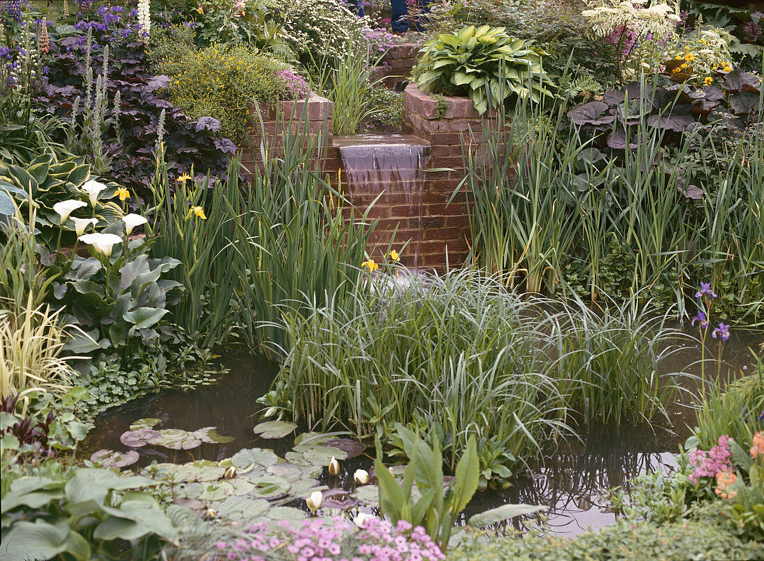 Garden pond with water feature