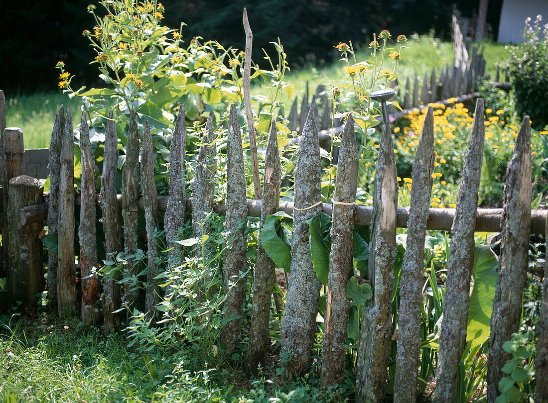 Bauerngartenzaun