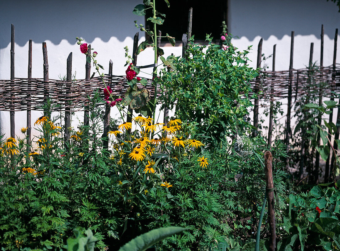 Garden fence for the cottage garden