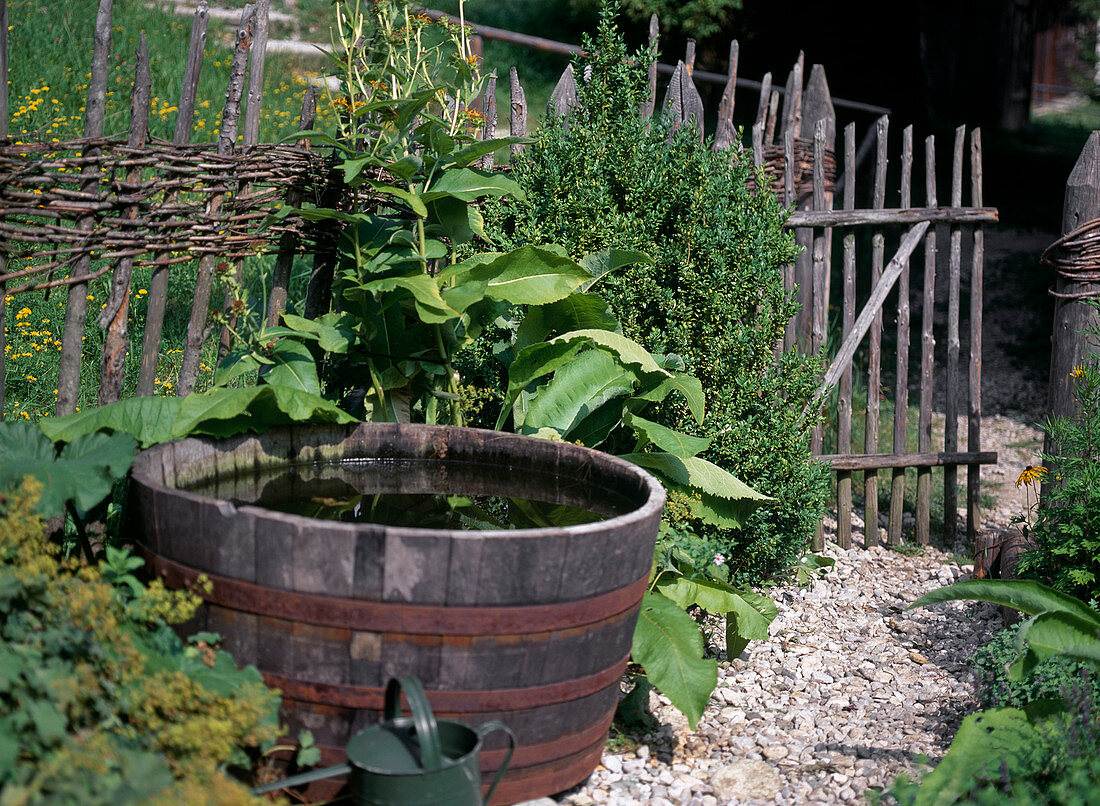 Bauerngarten mit Holzfass