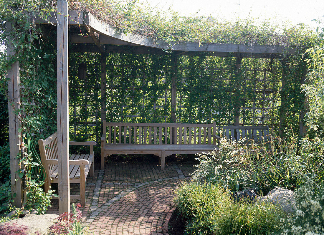 Pergola with wooden furniture