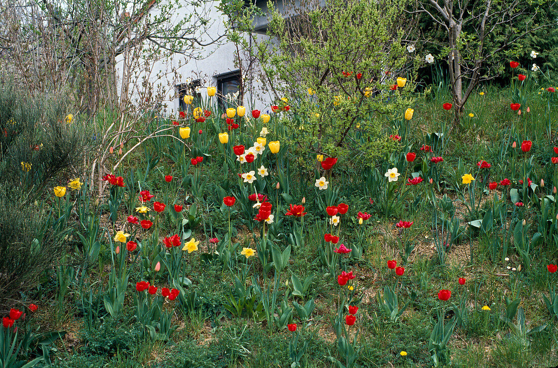 Slope planting