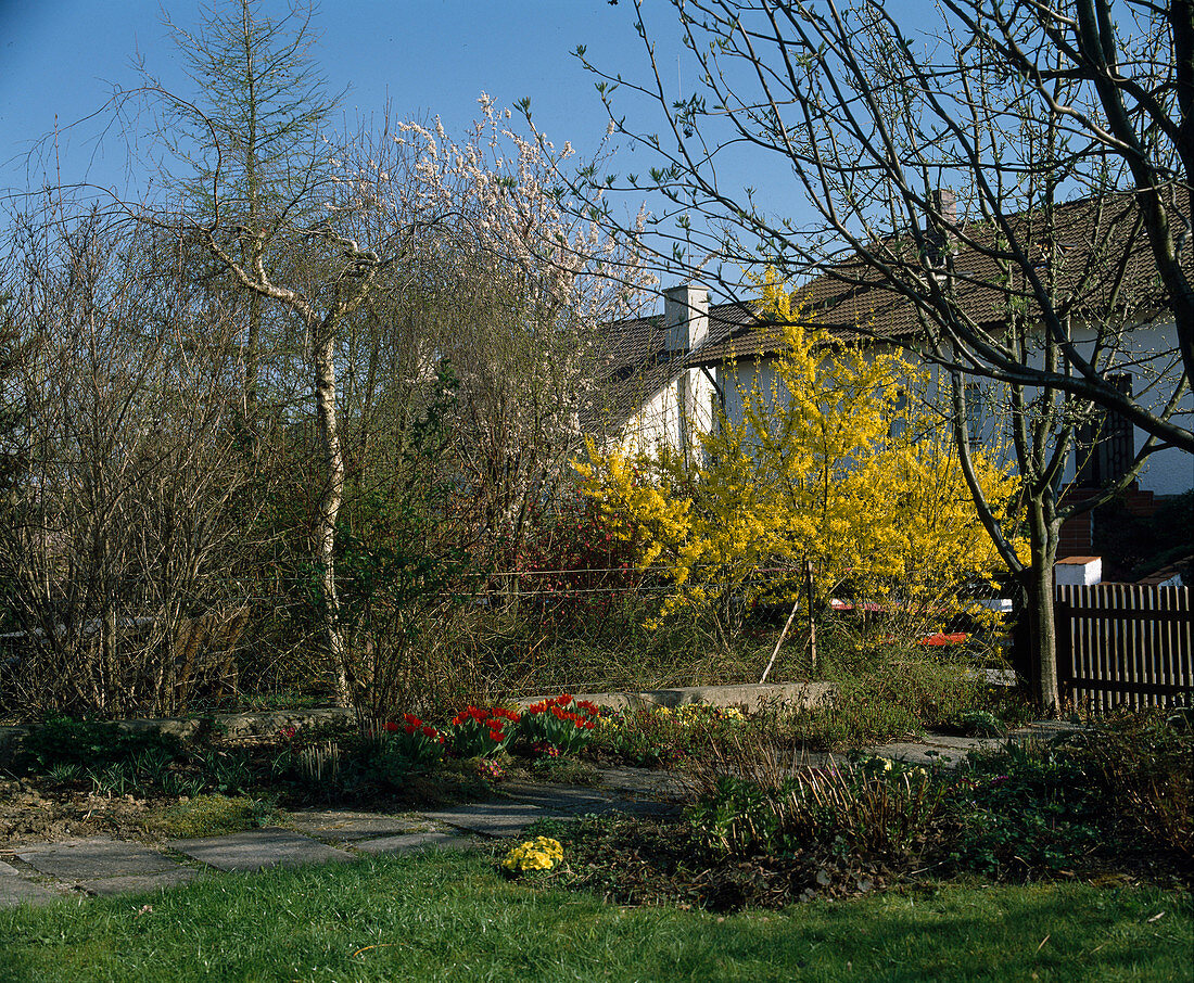 Garden in early spring