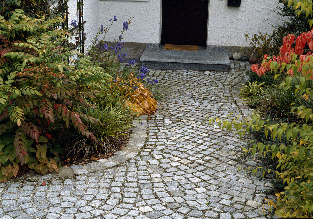 Front garden path