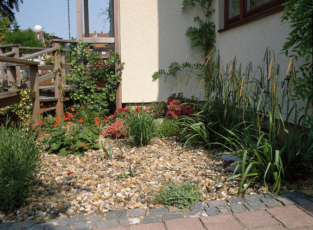 Front garden with rolled gravel and planting