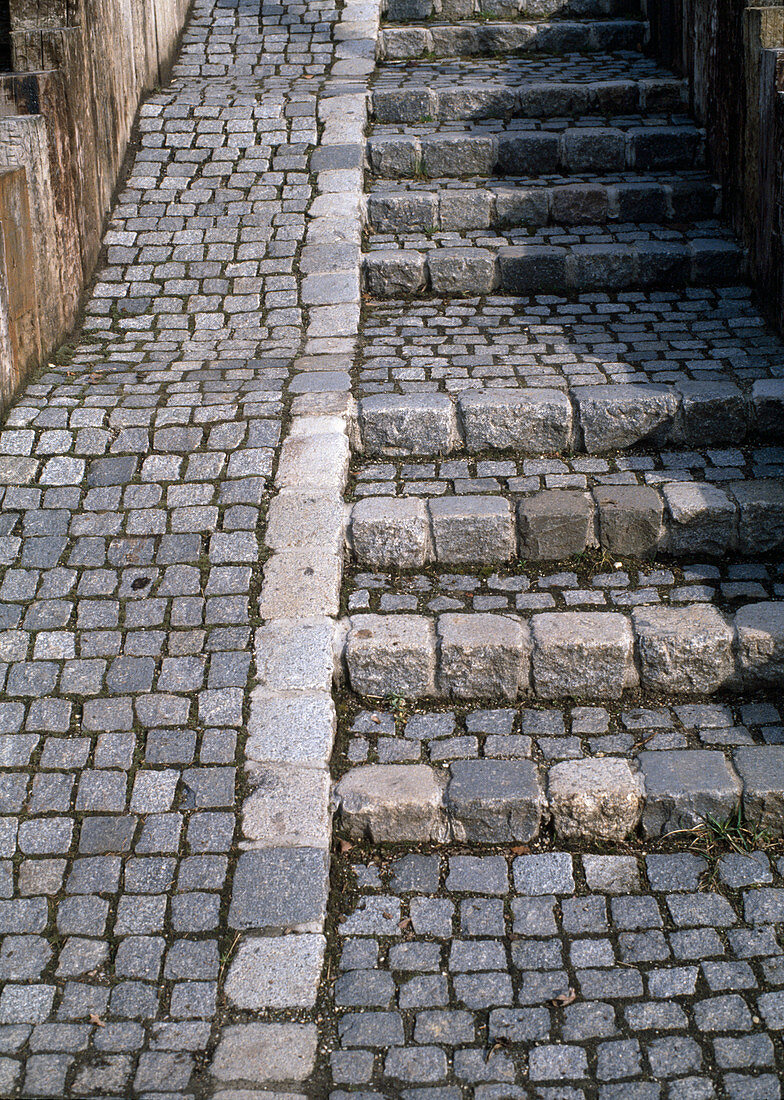 Stairs with bicycle ramp