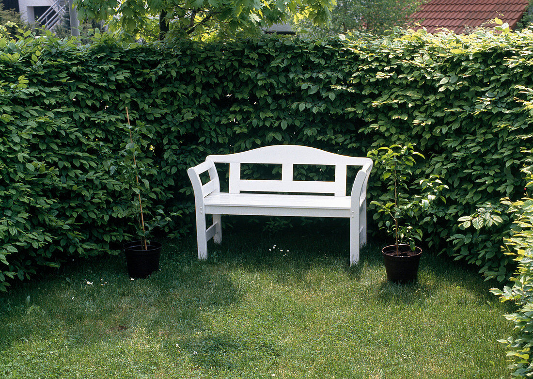 White bench in a roundabout