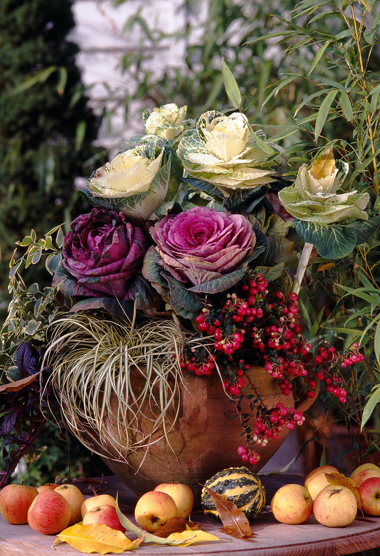 Bowl with ornamental cabbage, Carex, Pernettya