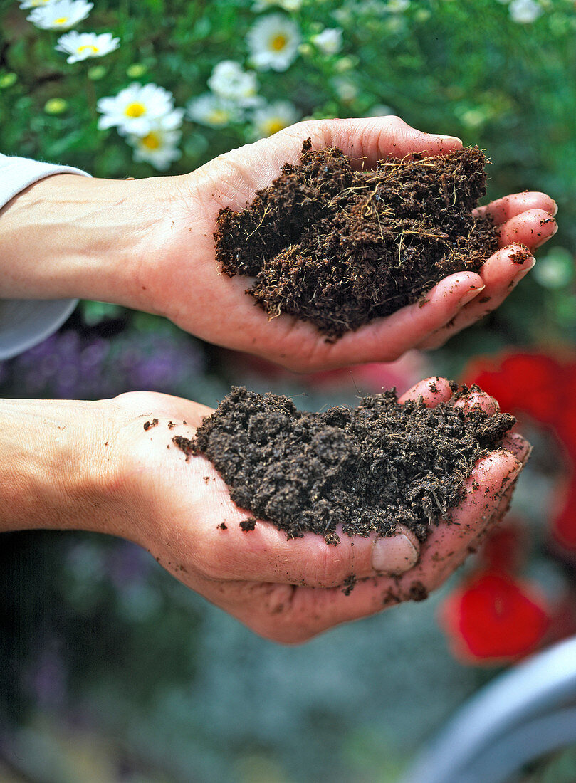 Balcony flower soil in front