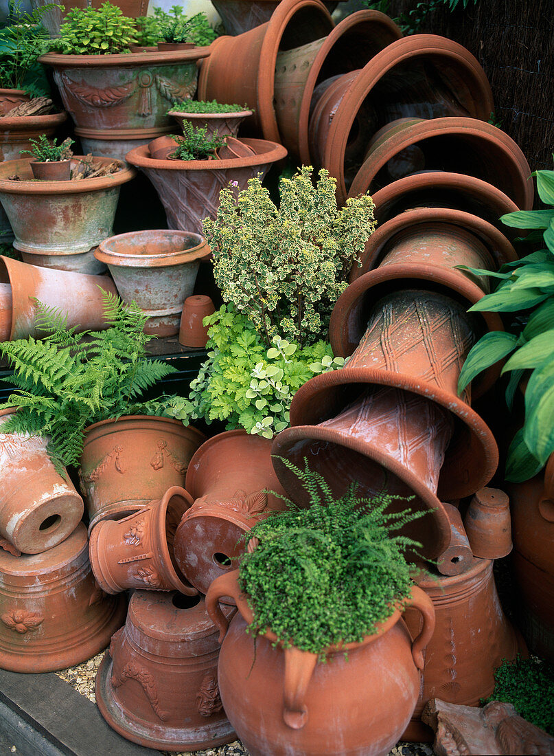 Terracotta pots