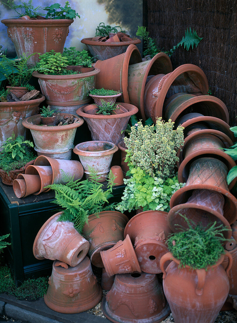 Terracotta pots