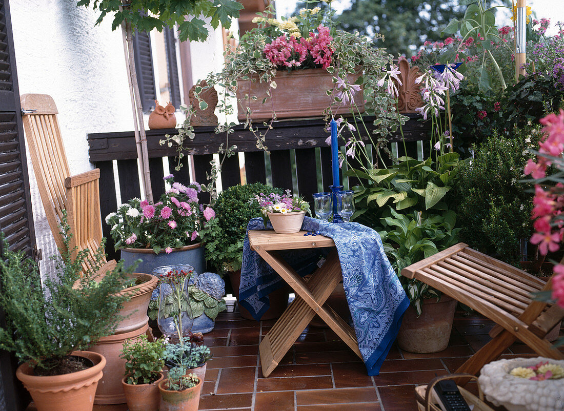 Sitzplatz Im Grünen: Ahorn, Sommerblumen