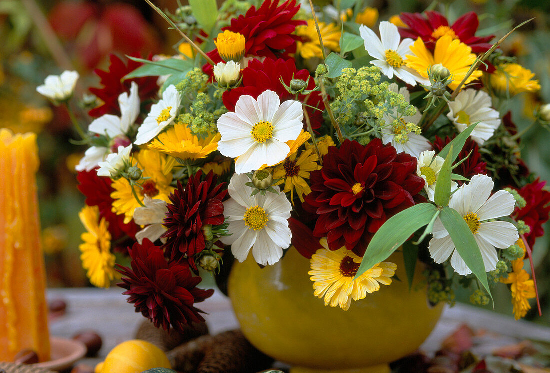 Bouquet with Cosmos (garden cosmos), Dahlia