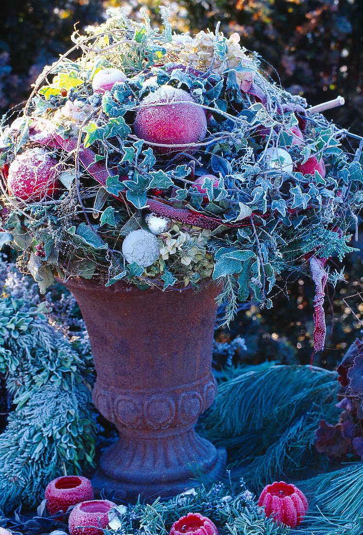 Christmas arrangement with hoarfrost