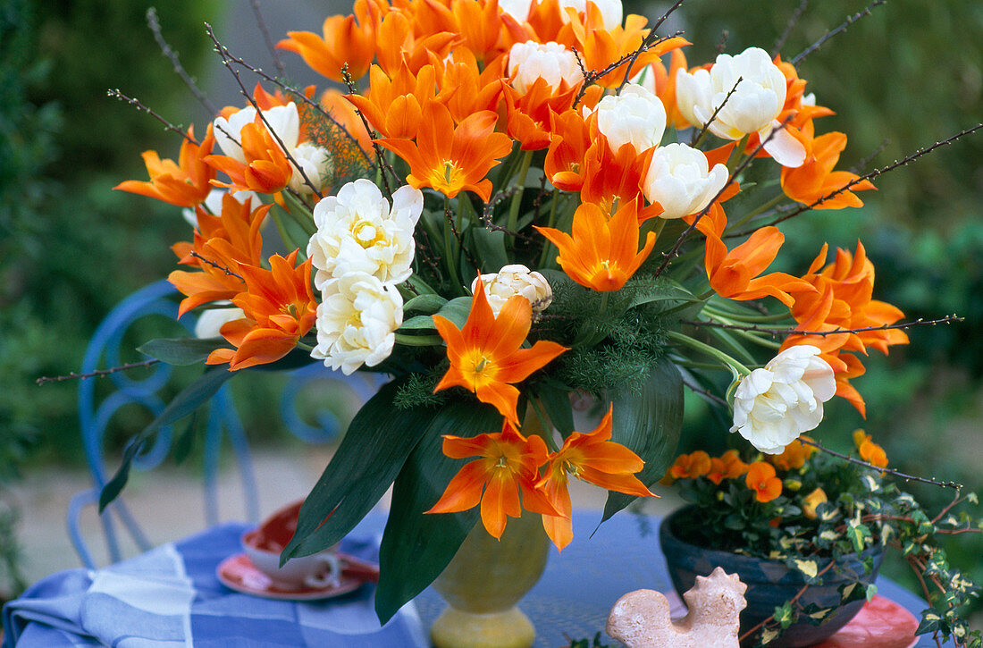 Strauß aus orangefarbenen und weißen Tulpen