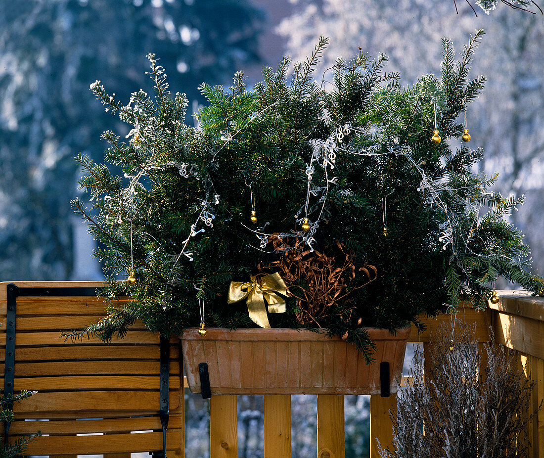 Balcony box with advent decorations