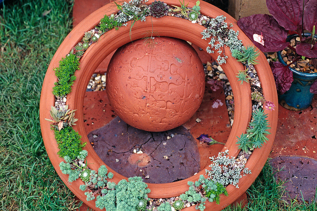 Clay ring with succulents