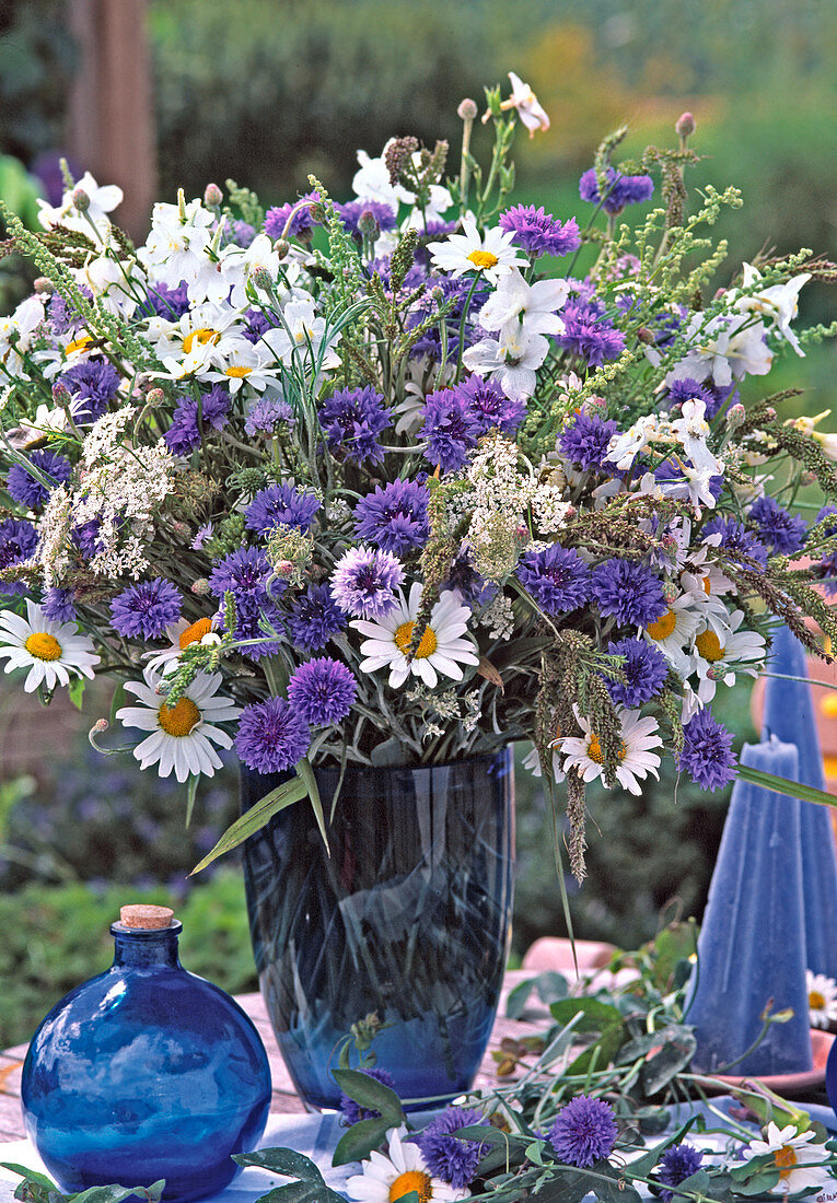 Blumenstrauß mit Kornblumen (Centaurea)