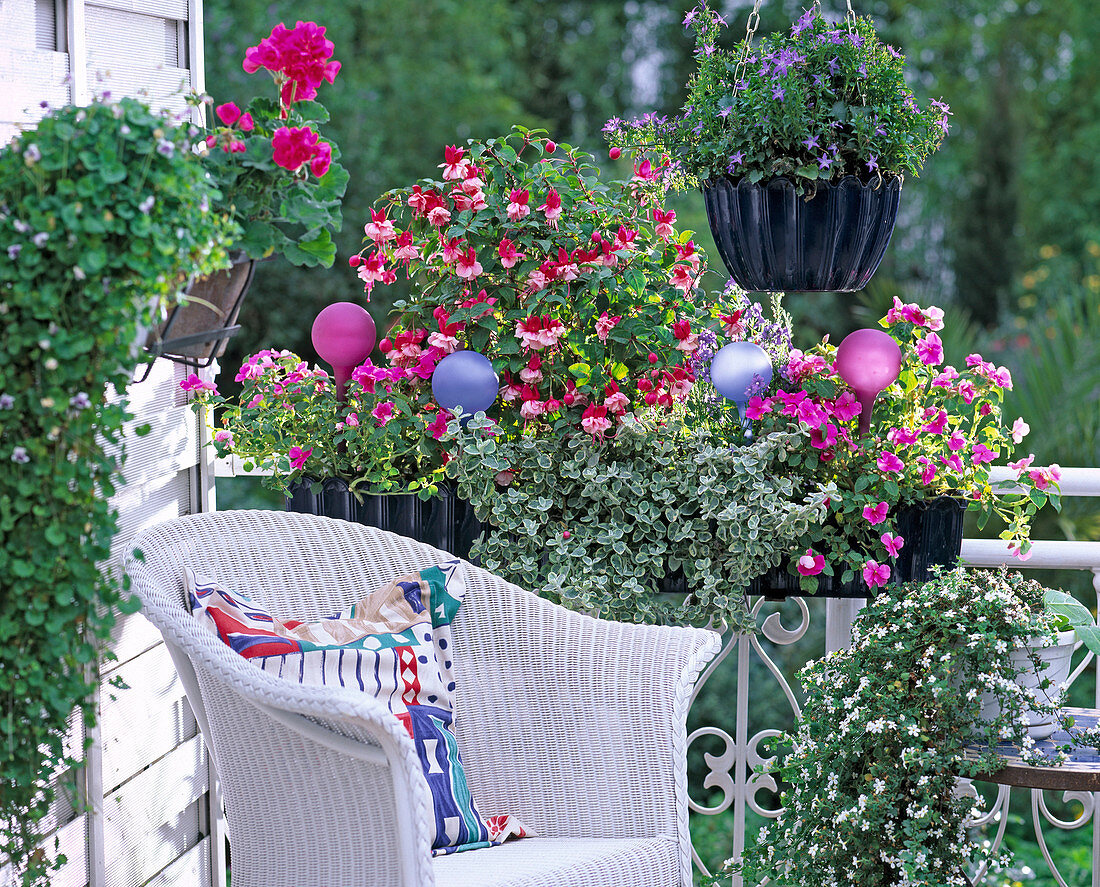 Balcony in pink-light blue with fuchsias