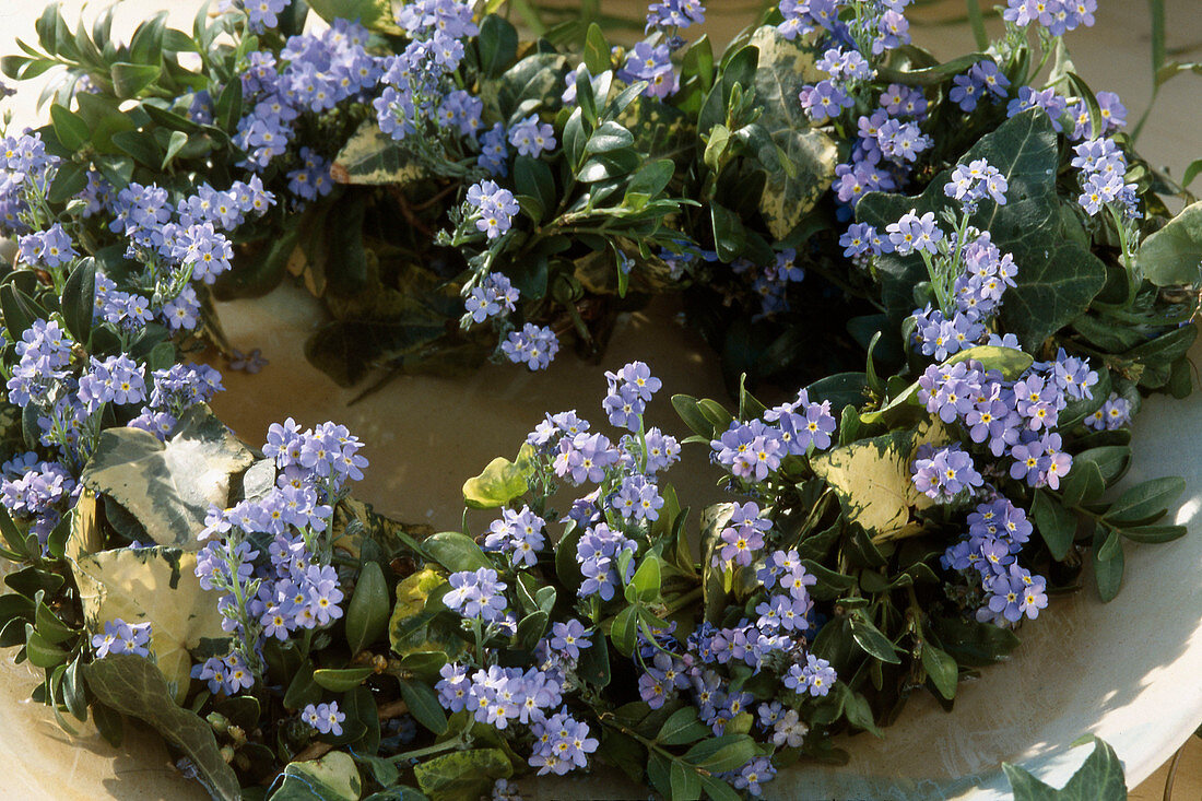 Wreath with Myosotis (forget-me-not)