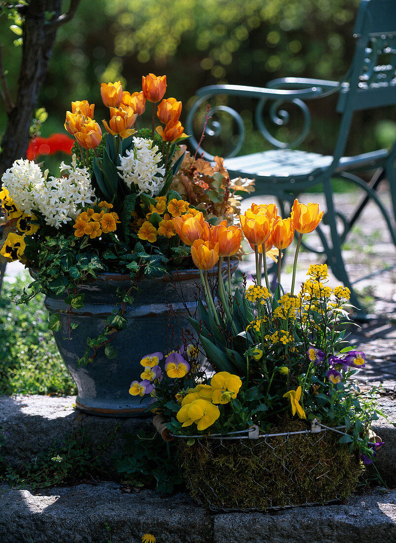 Arrangement with tulips, hyacinths, gold violet, primroses and pansies