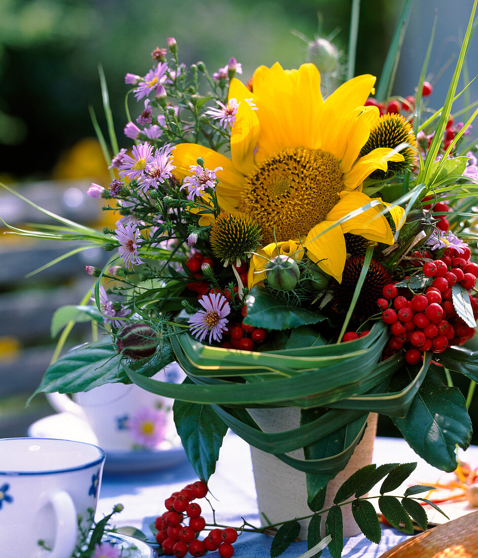 Helianthus (Sonnenblume), Sorbus (Eberesche), Aster