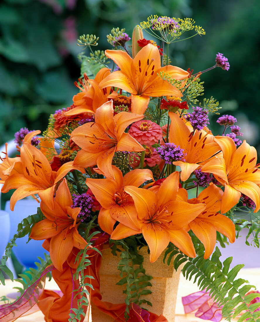 Lilium asiaticum / Asiatische Lilie, Verbena, Zinnien, Dill