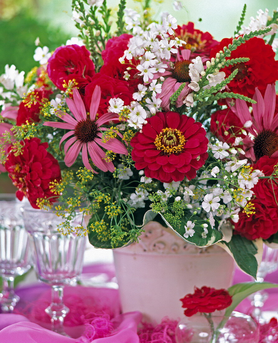 Echinacea purpurea, Gypsophila (Schleierkraut), Zinnia, Dill